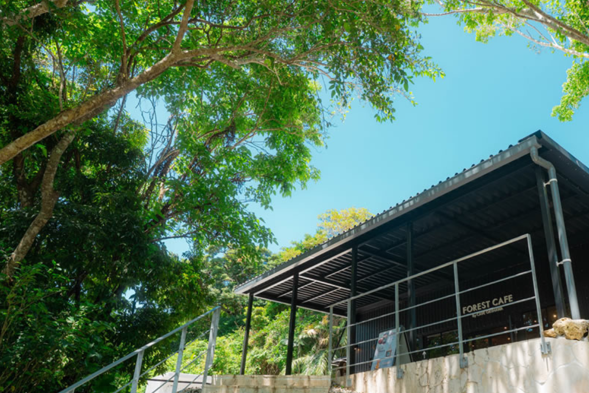 CAVE OKINAWA Forest Cafe  Shop 10% off